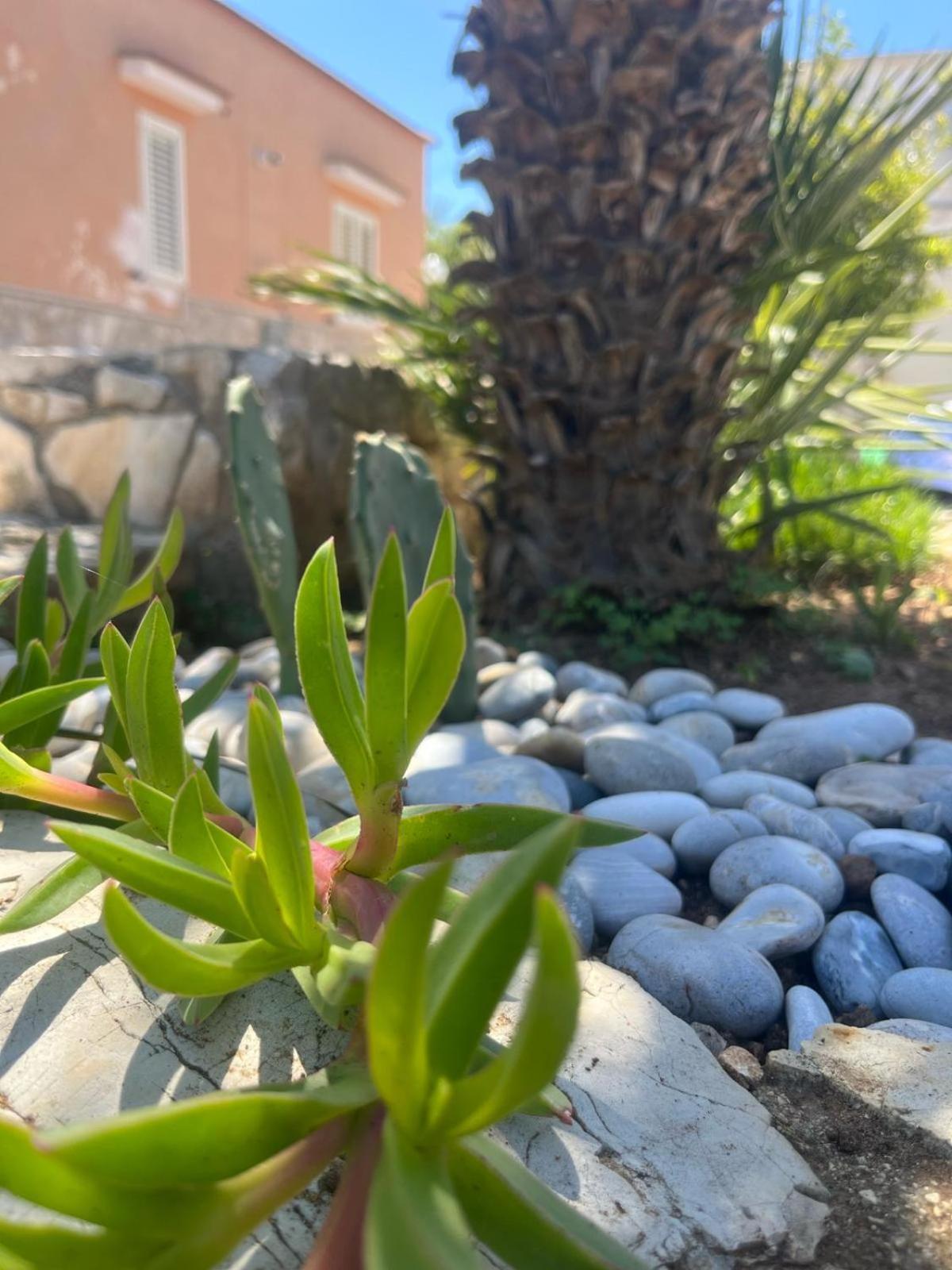 Dimora Toma Apartment Vieste Luaran gambar